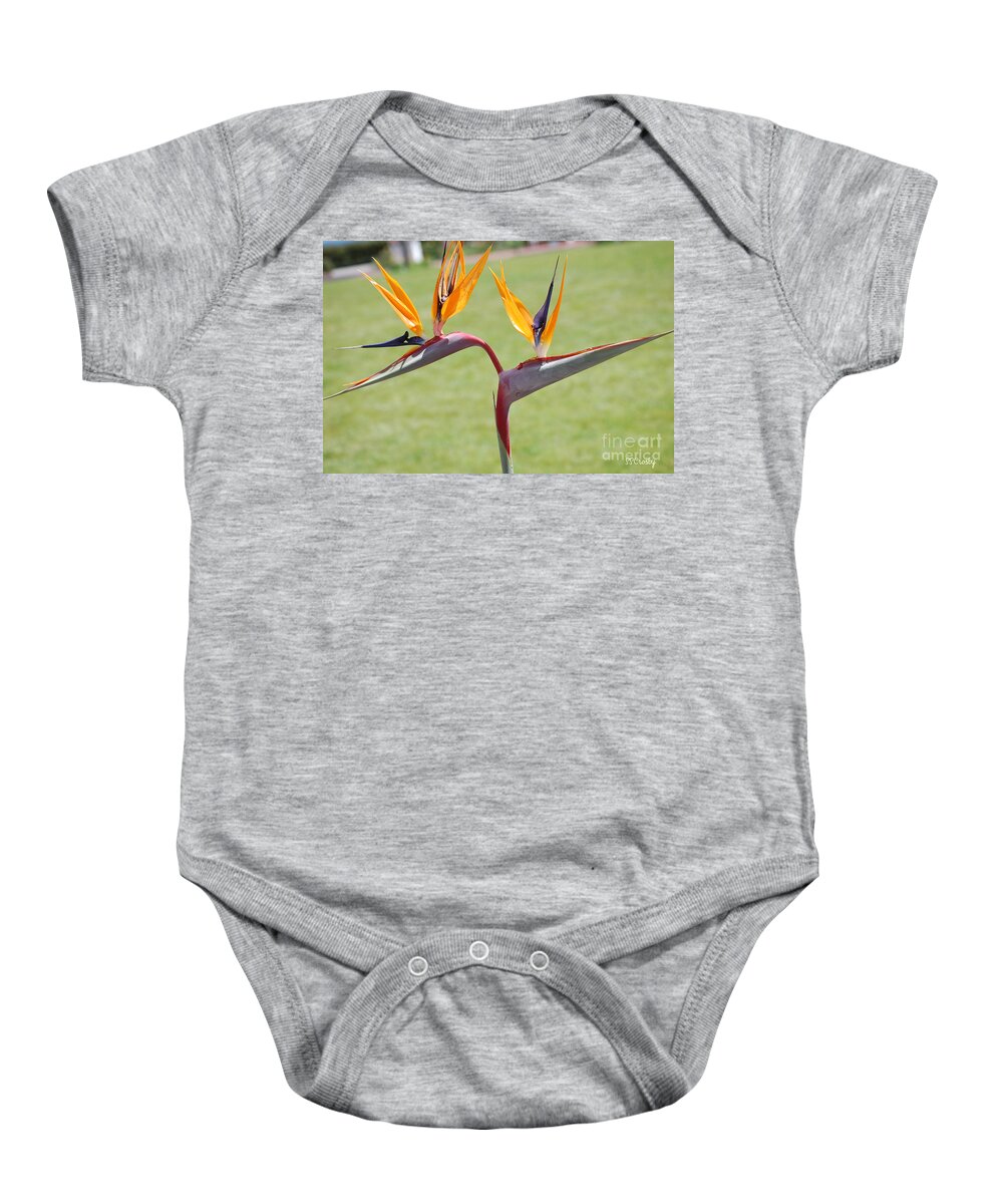 Bird Of Paradise Baby Onesie featuring the photograph Bird of Paradise by Susan Stevens Crosby