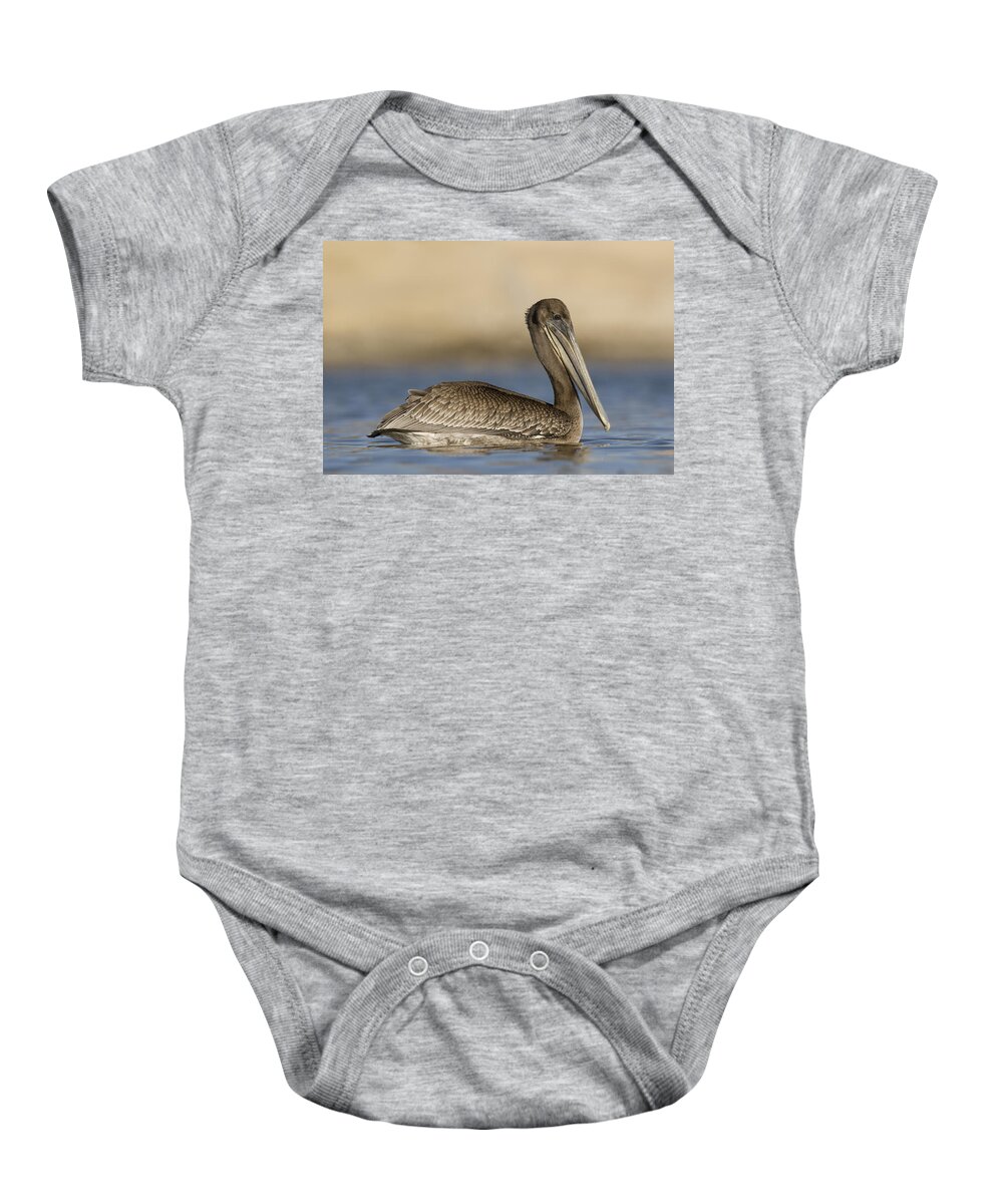 00429749 Baby Onesie featuring the photograph Brown Pelican Juvenile Swimming by Sebastian Kennerknecht