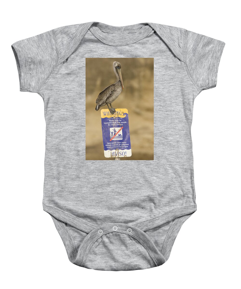 00429766 Baby Onesie featuring the photograph Brown Pelican On Contaminated Water by Sebastian Kennerknecht