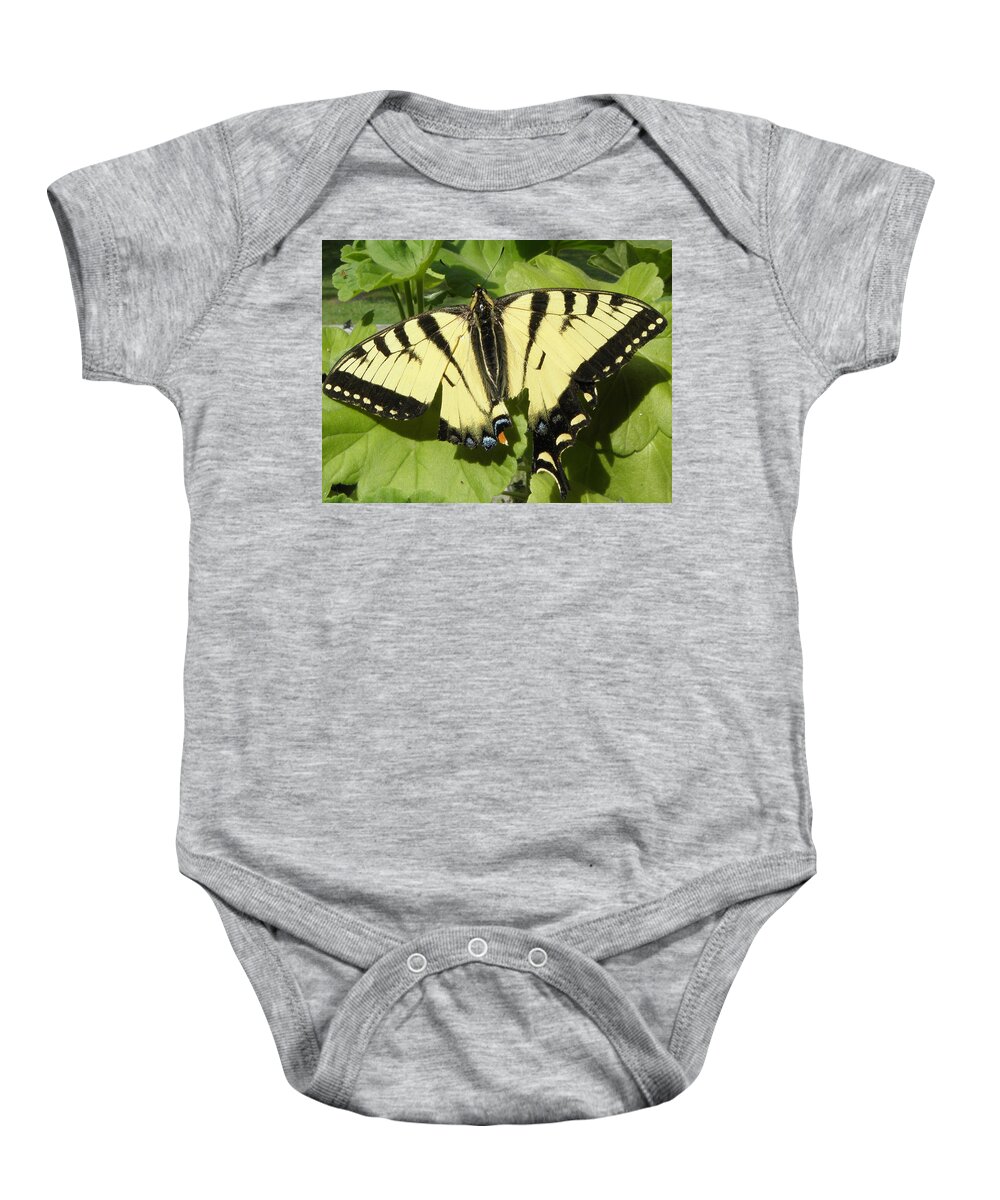 Butterfly Baby Onesie featuring the photograph Butterfly that got away by Kim Galluzzo