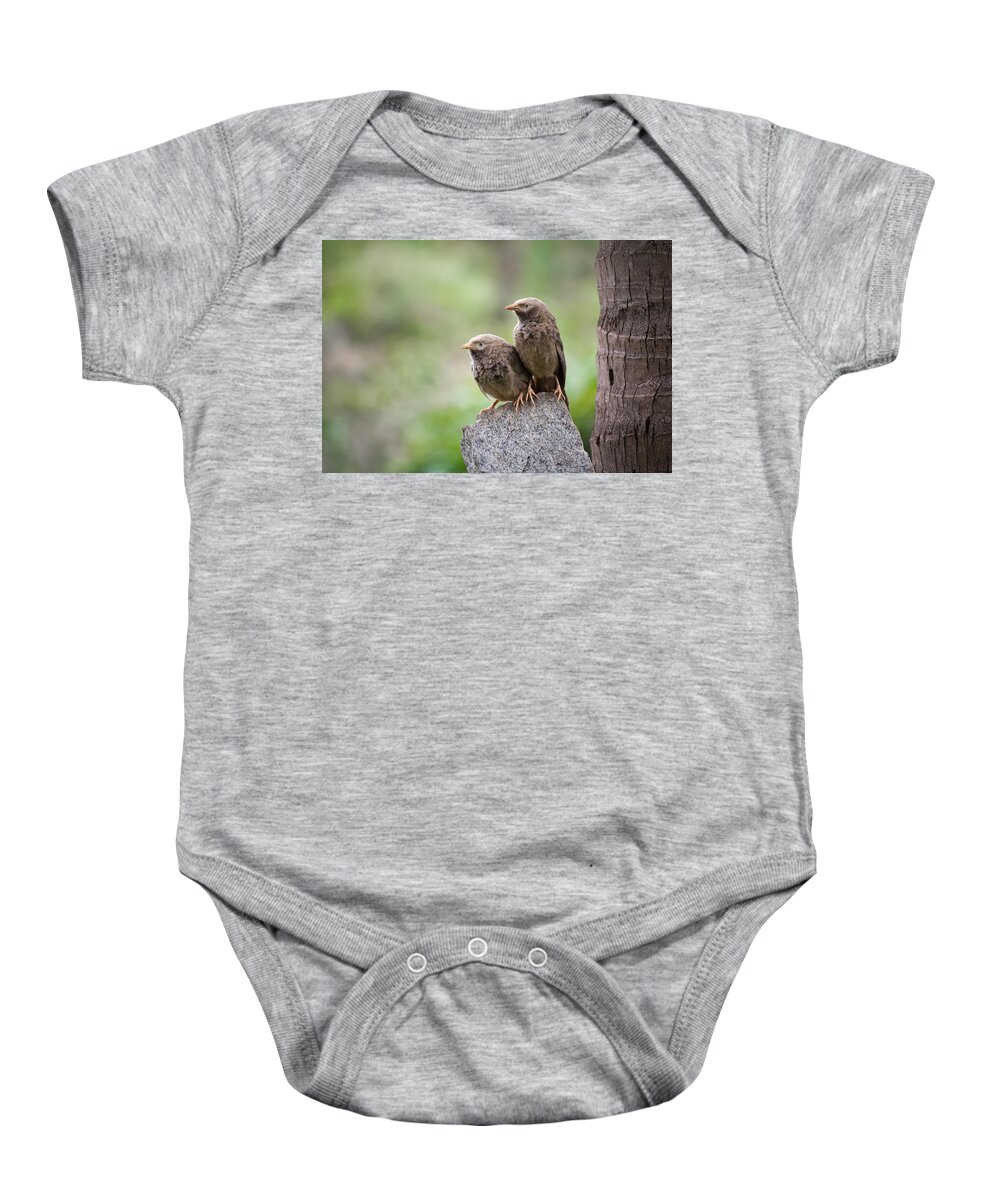 Yellow-billed Babbler Baby Onesie featuring the photograph Couple by SAURAVphoto Online Store