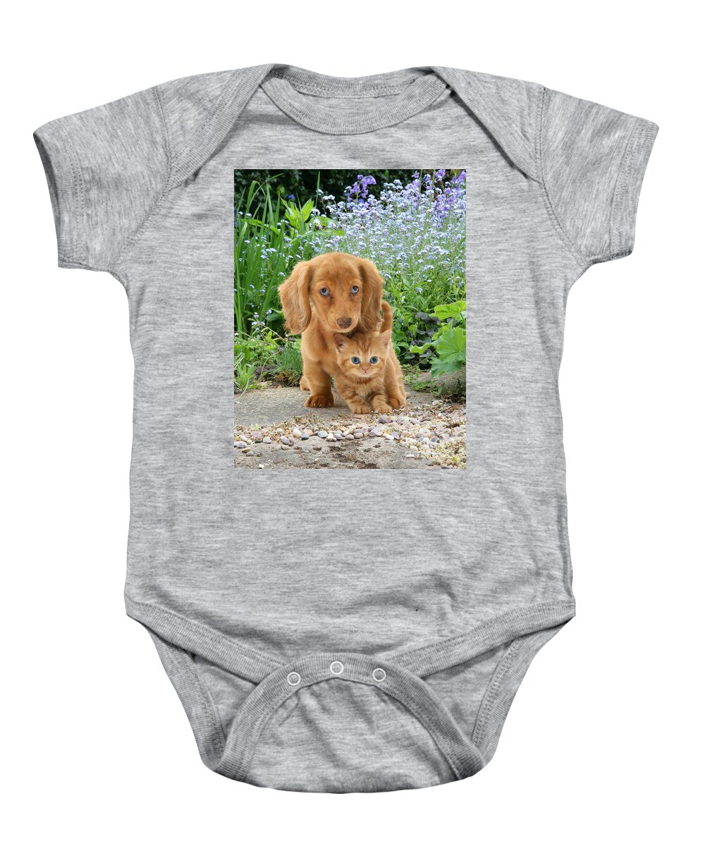 Animal Baby Onesie featuring the photograph Dachshund And Tabby by Jane Burton