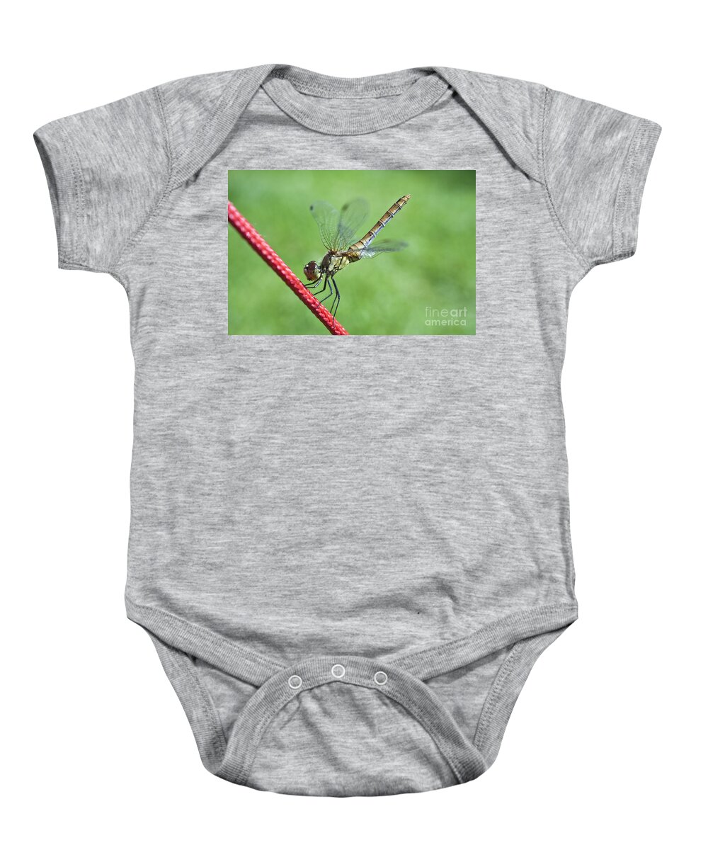 Nature Baby Onesie featuring the photograph Dragonfly on a String by Heiko Koehrer-Wagner