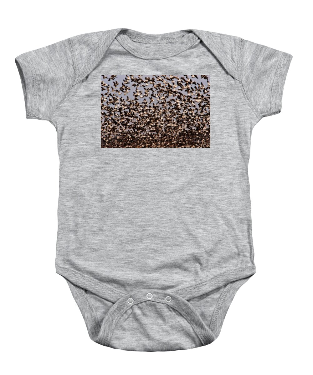 Squaw Creek National Wildlife Refuge Baby Onesie featuring the photograph Duck Wall by Ed Peterson