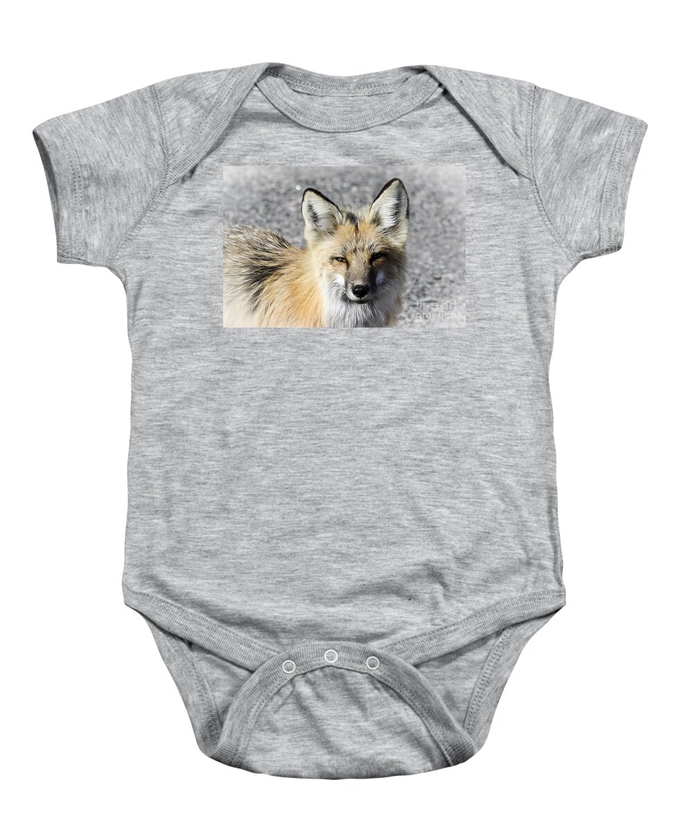 Animal Baby Onesie featuring the photograph Fox by Teresa Zieba