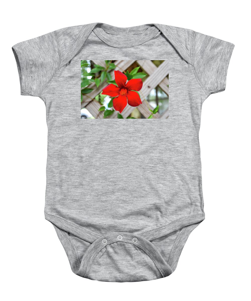 Flower Baby Onesie featuring the photograph Front Porch by Shannon Harrington