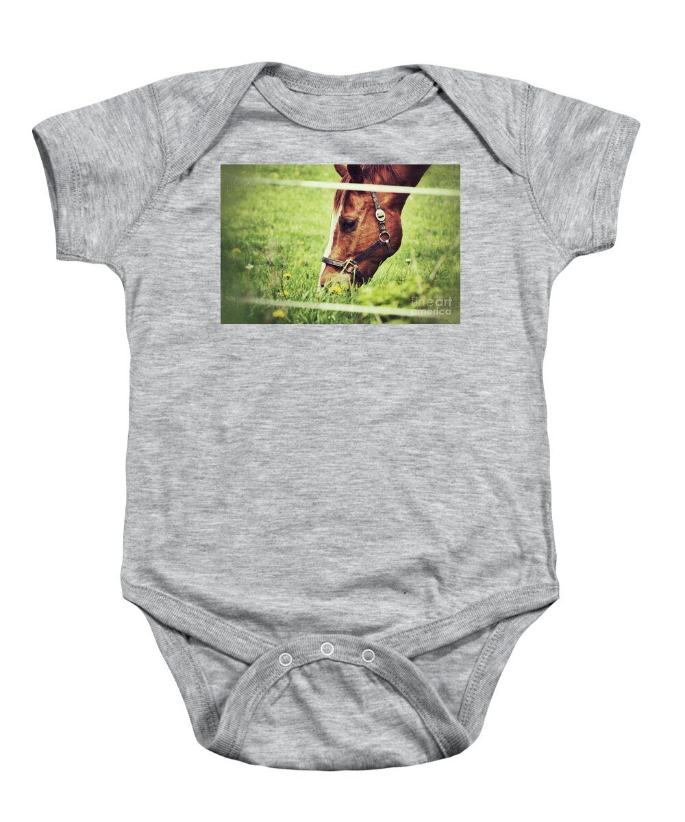 Horse Baby Onesie featuring the photograph Grazing by Traci Cottingham