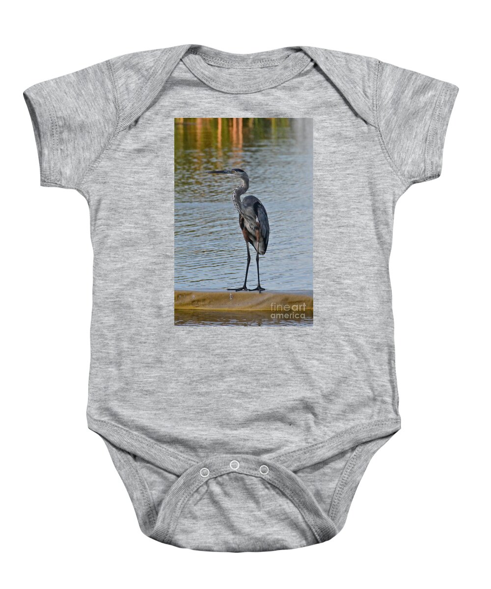 Bird Baby Onesie featuring the photograph Great Blue Heron by Carol Bradley