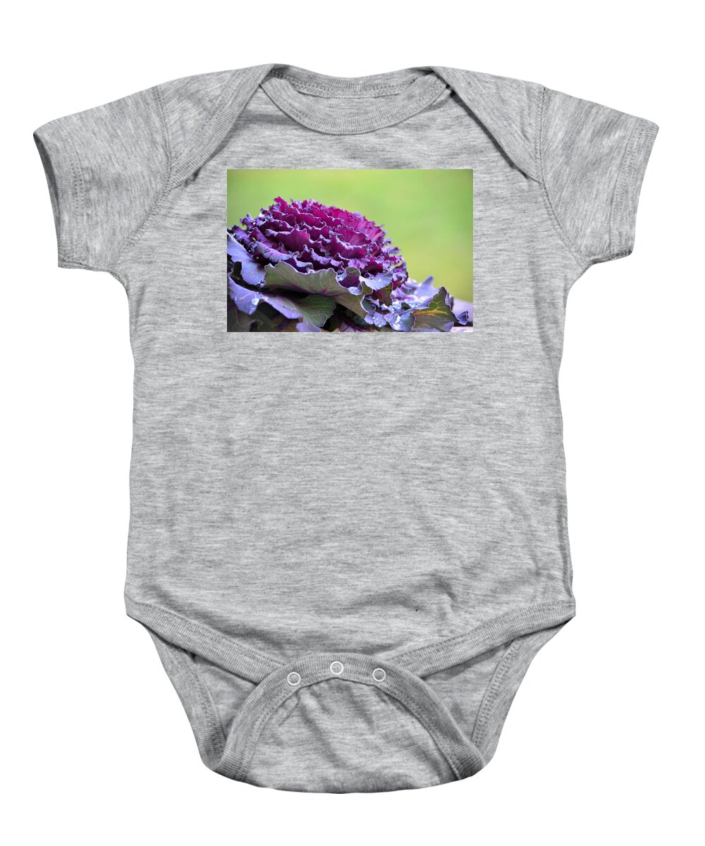 Decorative Kale Plant Baby Onesie featuring the photograph Layers of Wet Beauty by Sandi OReilly