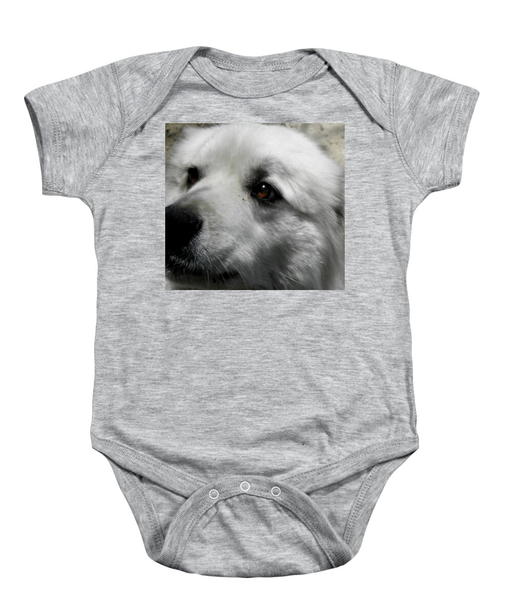 Great Pyrenees Baby Onesie featuring the photograph Loving eyes and Face by Kim Galluzzo Wozniak