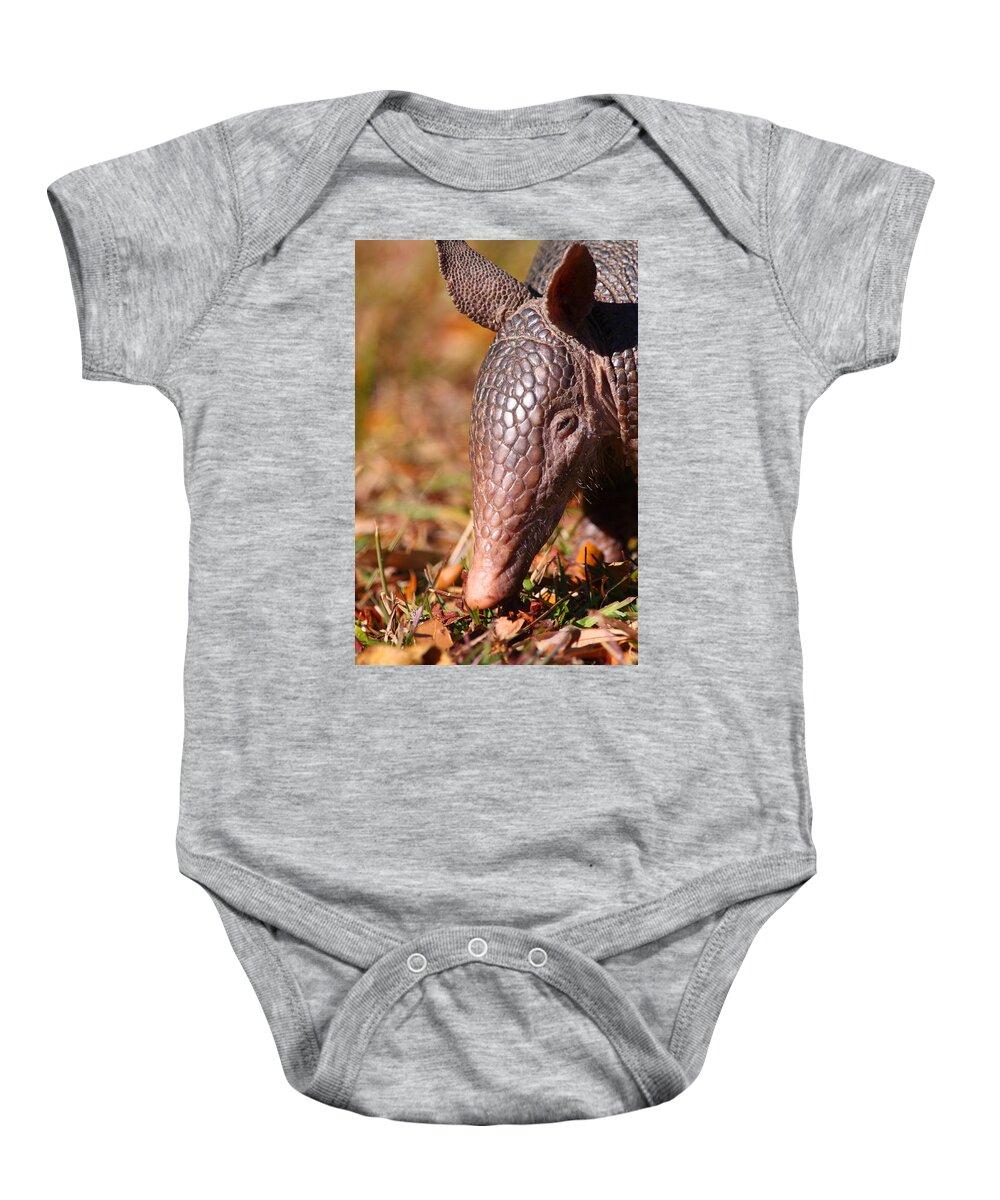 Armadillos Baby Onesie featuring the photograph Nine-banded Armadillo Portrait by Bruce J Robinson