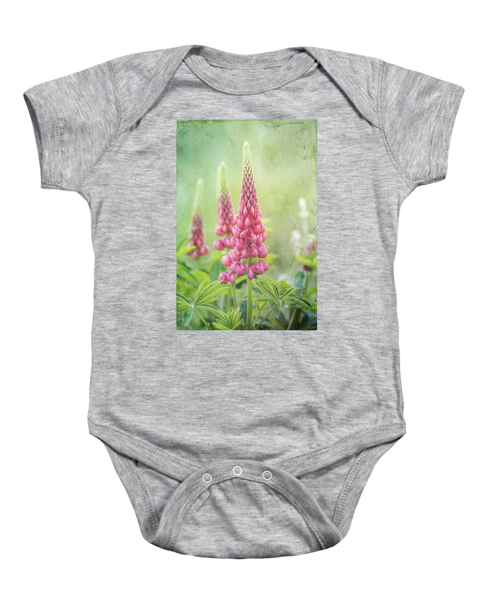 Lupine Baby Onesie featuring the photograph Pink Lupine by Cindi Ressler