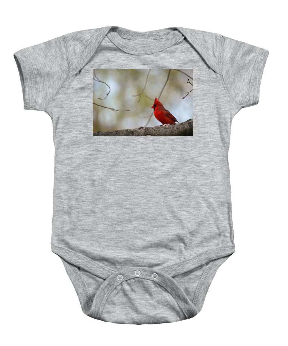 Cardinal Baby Onesie featuring the photograph Pop of Color by Lori Tambakis