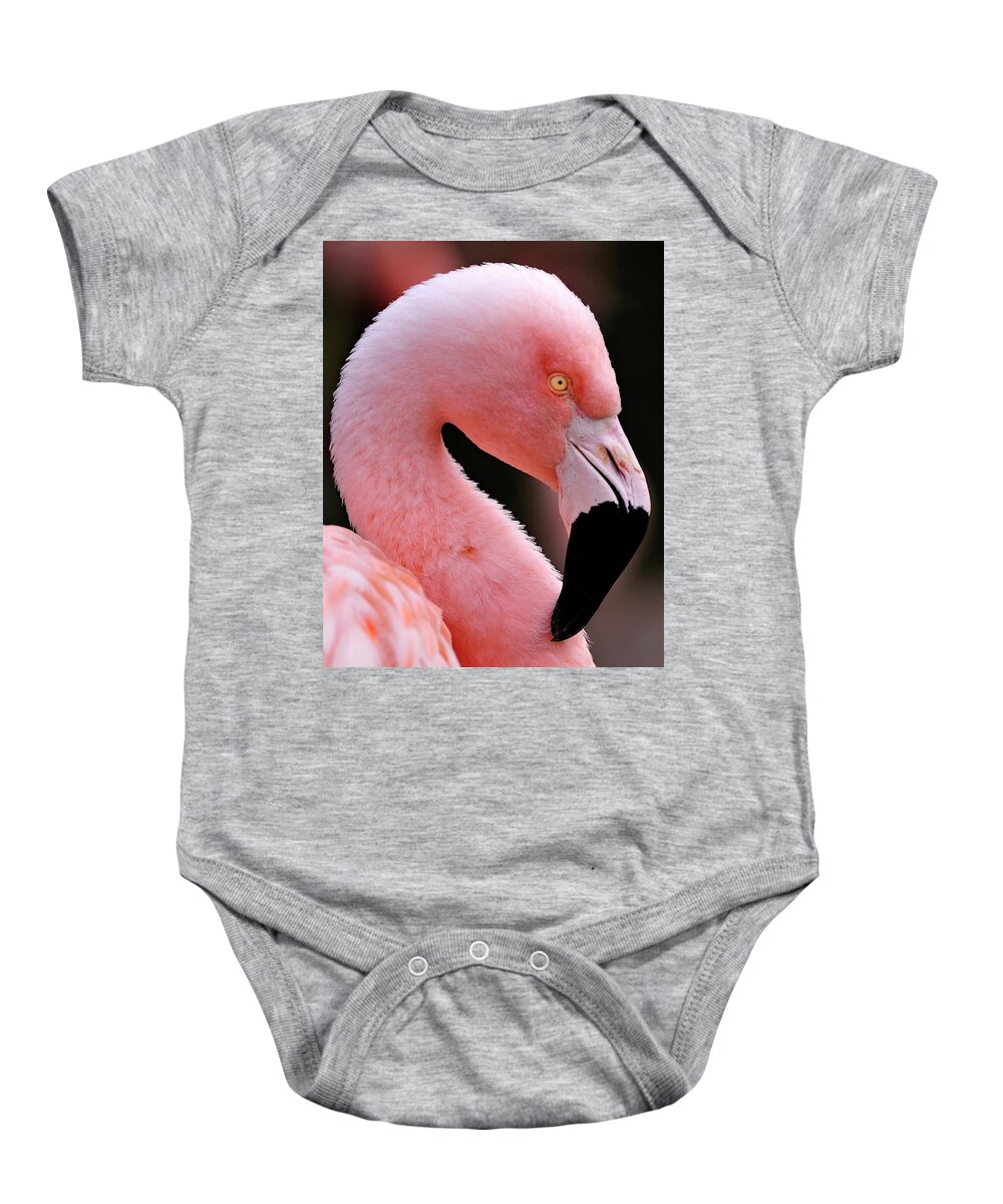 Flamingo Baby Onesie featuring the photograph Portrait of a Flamingo by Bill Dodsworth