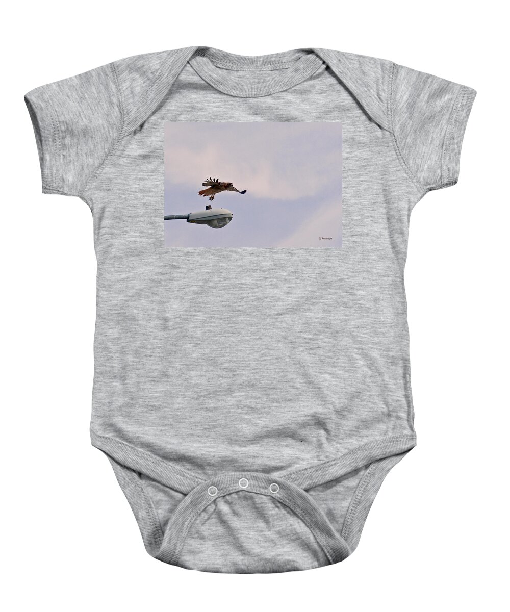Red-tailed Hawk Baby Onesie featuring the photograph Red-tailed Hawk In Flight by Ed Peterson