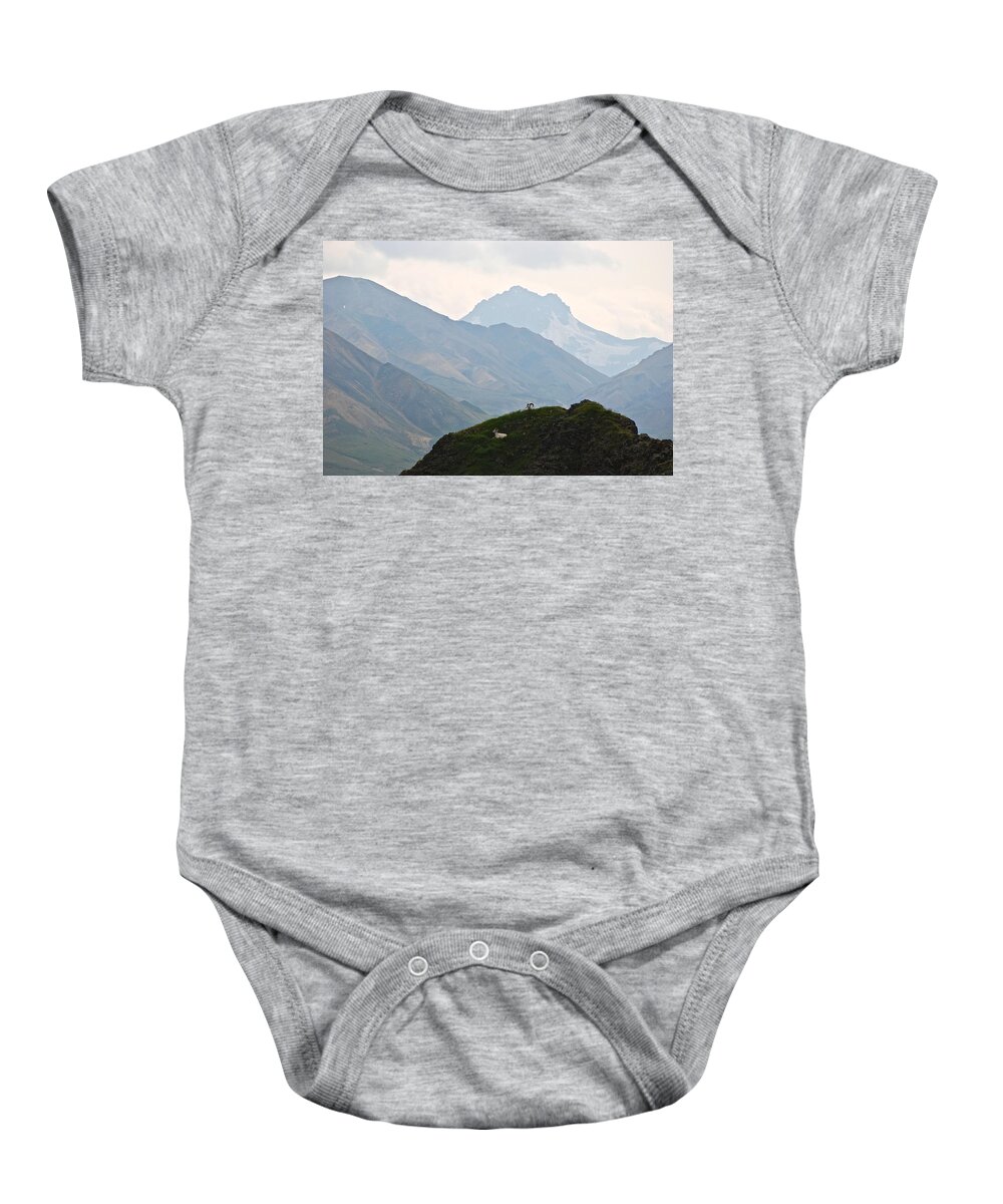 Danali National Park Baby Onesie featuring the photograph Resting Dall Sheep by Eric Tressler