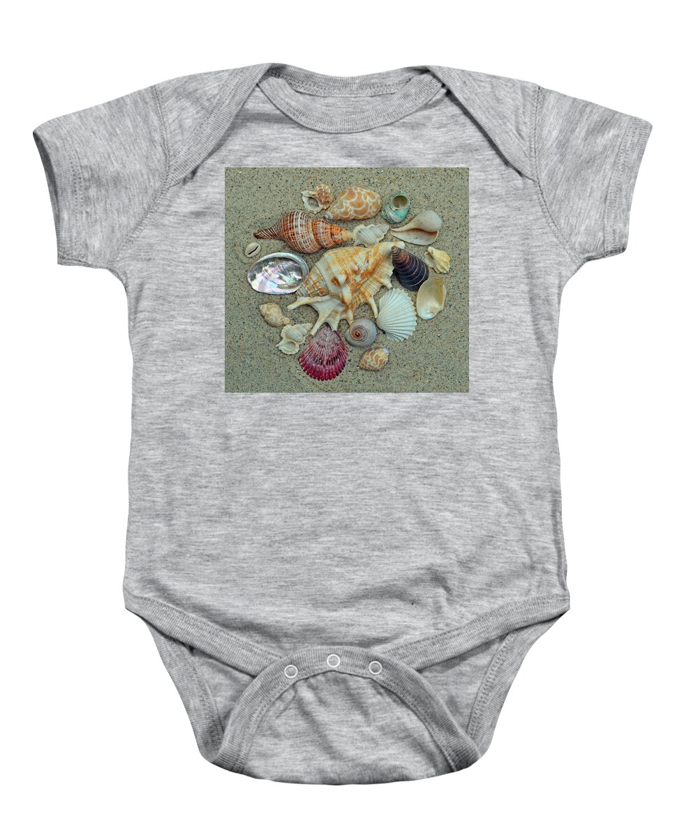 Shells Baby Onesie featuring the photograph Shell Collection 2 by Sandi OReilly