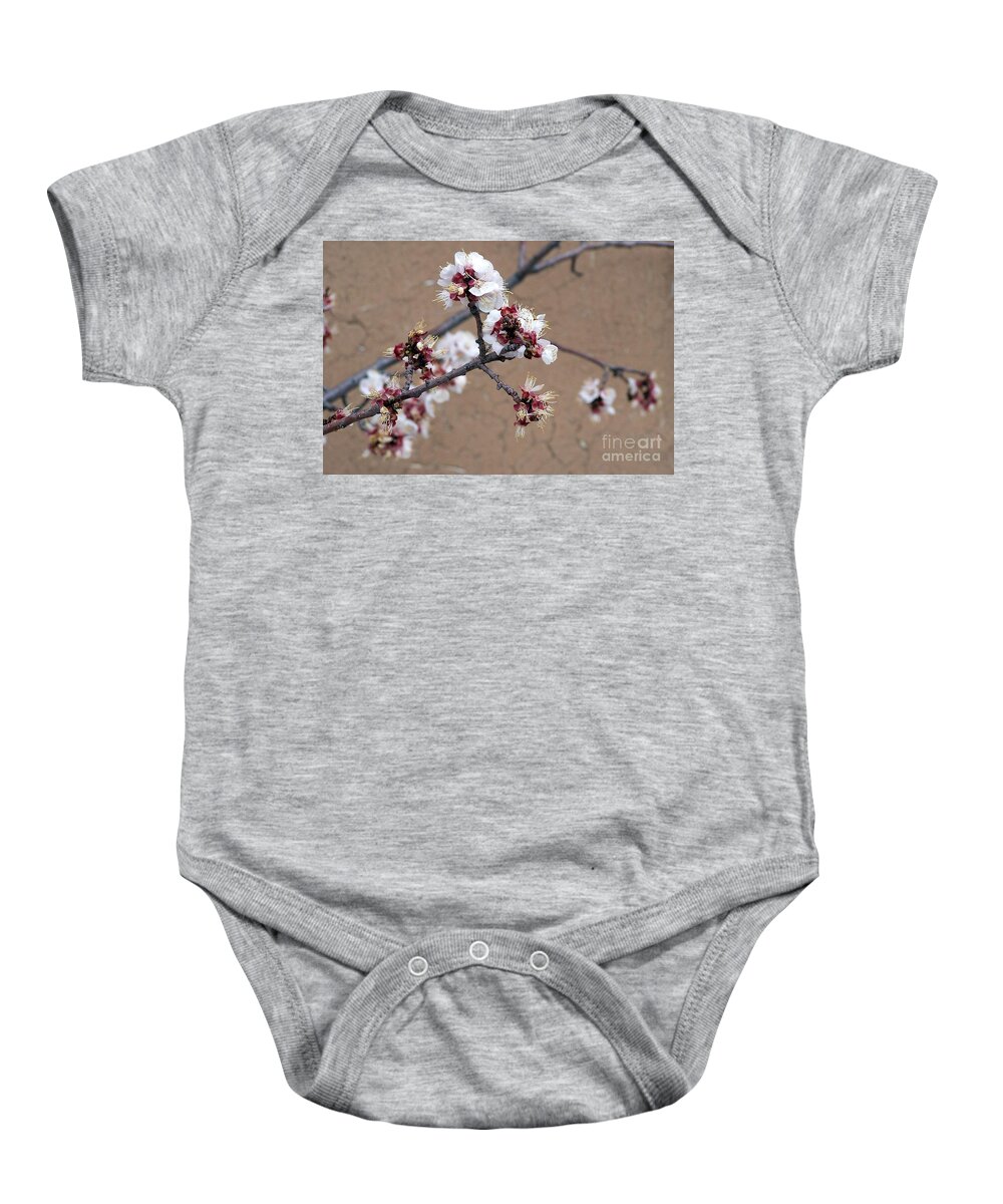 Trees Baby Onesie featuring the photograph Spring Promises by Dorrene BrownButterfield
