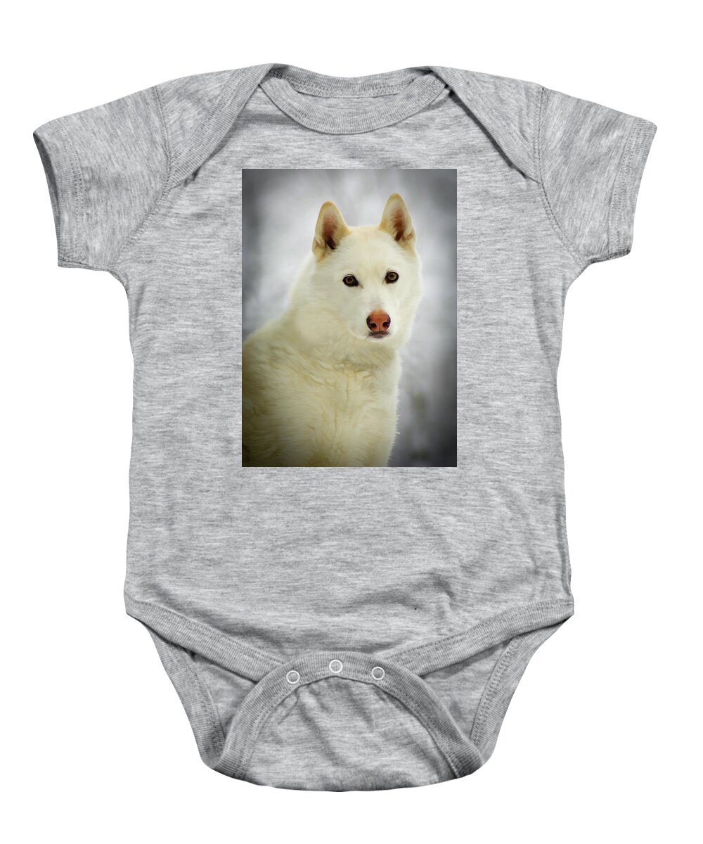 Husky Baby Onesie featuring the photograph The Stare by Joye Ardyn Durham