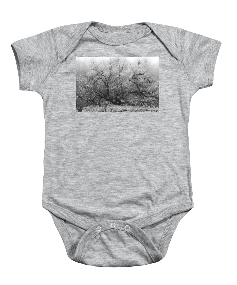 Appalachia Baby Onesie featuring the photograph Tree of Enchantment by Debra and Dave Vanderlaan