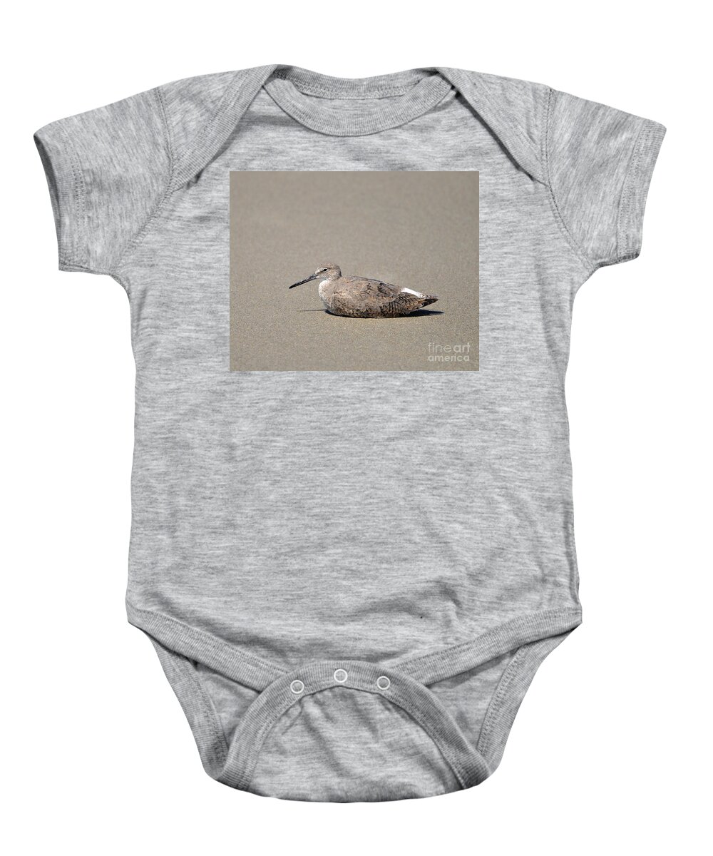Willet Baby Onesie featuring the photograph Waiting Willet by Al Powell Photography USA