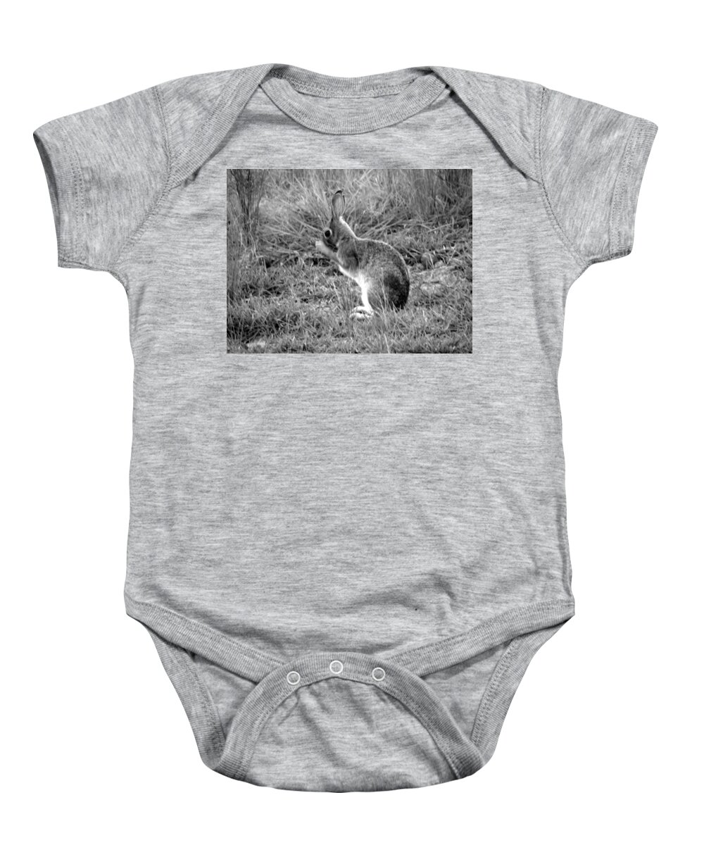 Bunny Baby Onesie featuring the photograph Wash Time by Kim Galluzzo