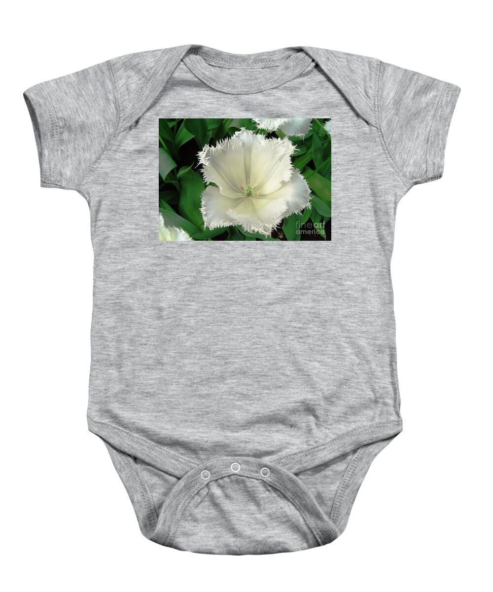 Tulip Baby Onesie featuring the photograph White Tulip by Amalia Suruceanu