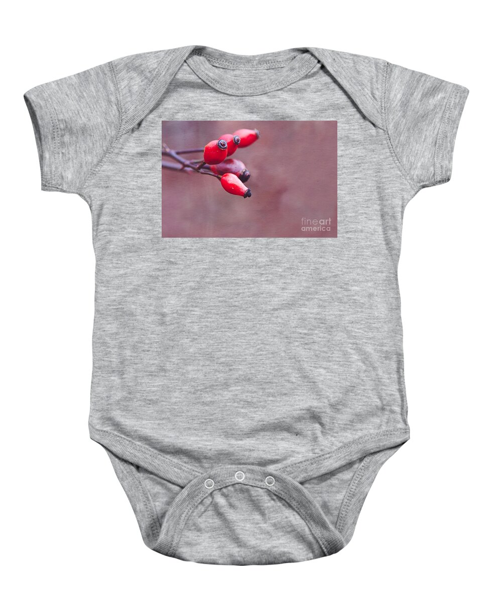 Autumn Baby Onesie featuring the photograph Wild Brier by Hannes Cmarits