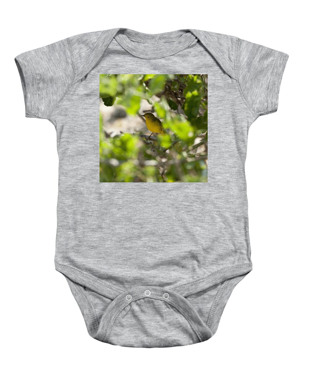 Aves Baby Onesie featuring the photograph Yellow Warbler Dendroica Petechia by Keith Levit