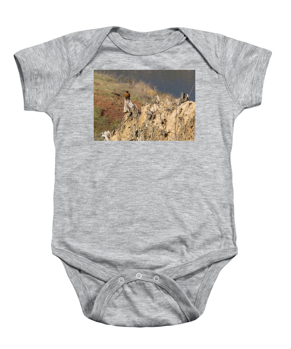 Jan Holden Baby Onesie featuring the photograph American Robin #1 by Holden The Moment