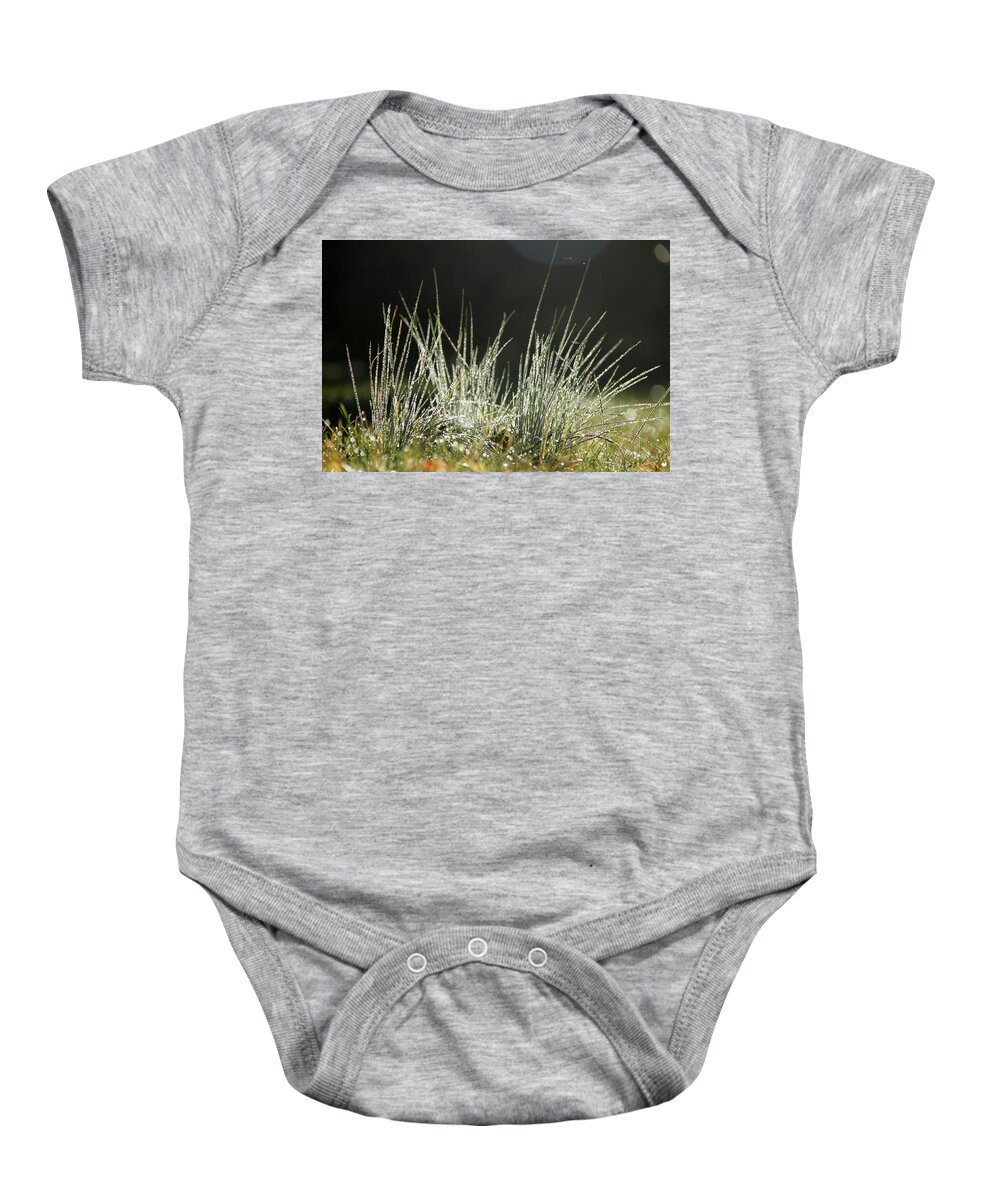 Grass Baby Onesie featuring the photograph Close-up of dew on grass, in a sunny, humid autumn morning #1 by Emanuel Tanjala