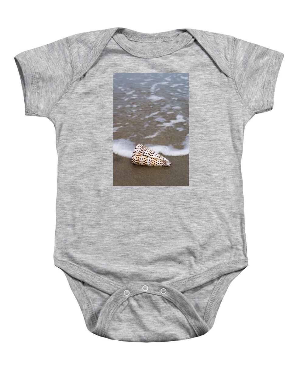 Shell Seashell Beach Ocean Bay Baby Onesie featuring the photograph Cone seashell on the beach. #1 by Anthony Totah