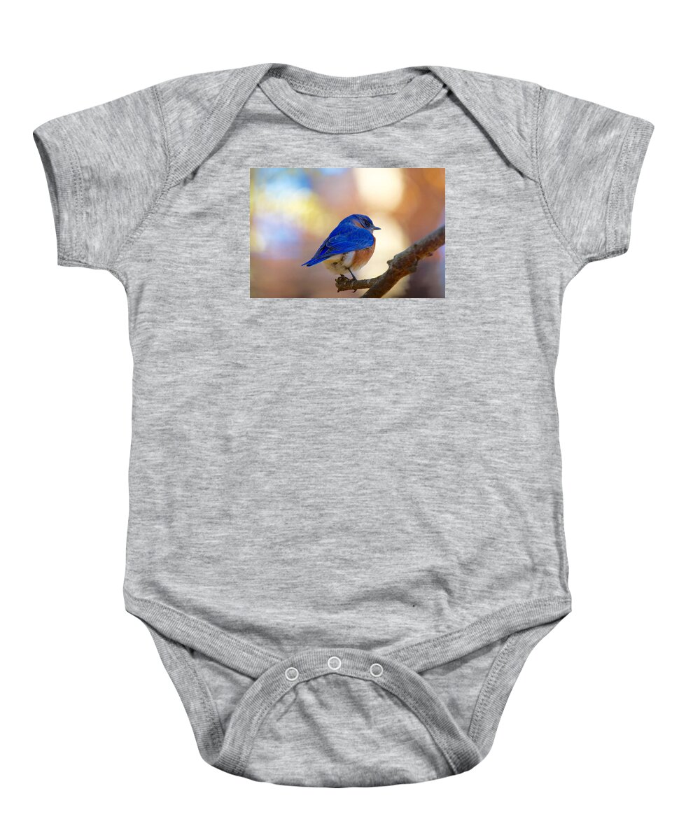 Bluebird Baby Onesie featuring the photograph Eastern Bluebird #1 by Robert L Jackson