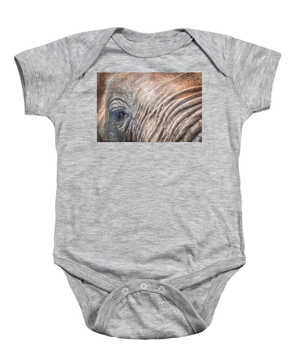 Elephant Baby Onesie featuring the photograph Elephant 1 #2 by Pat Lucas