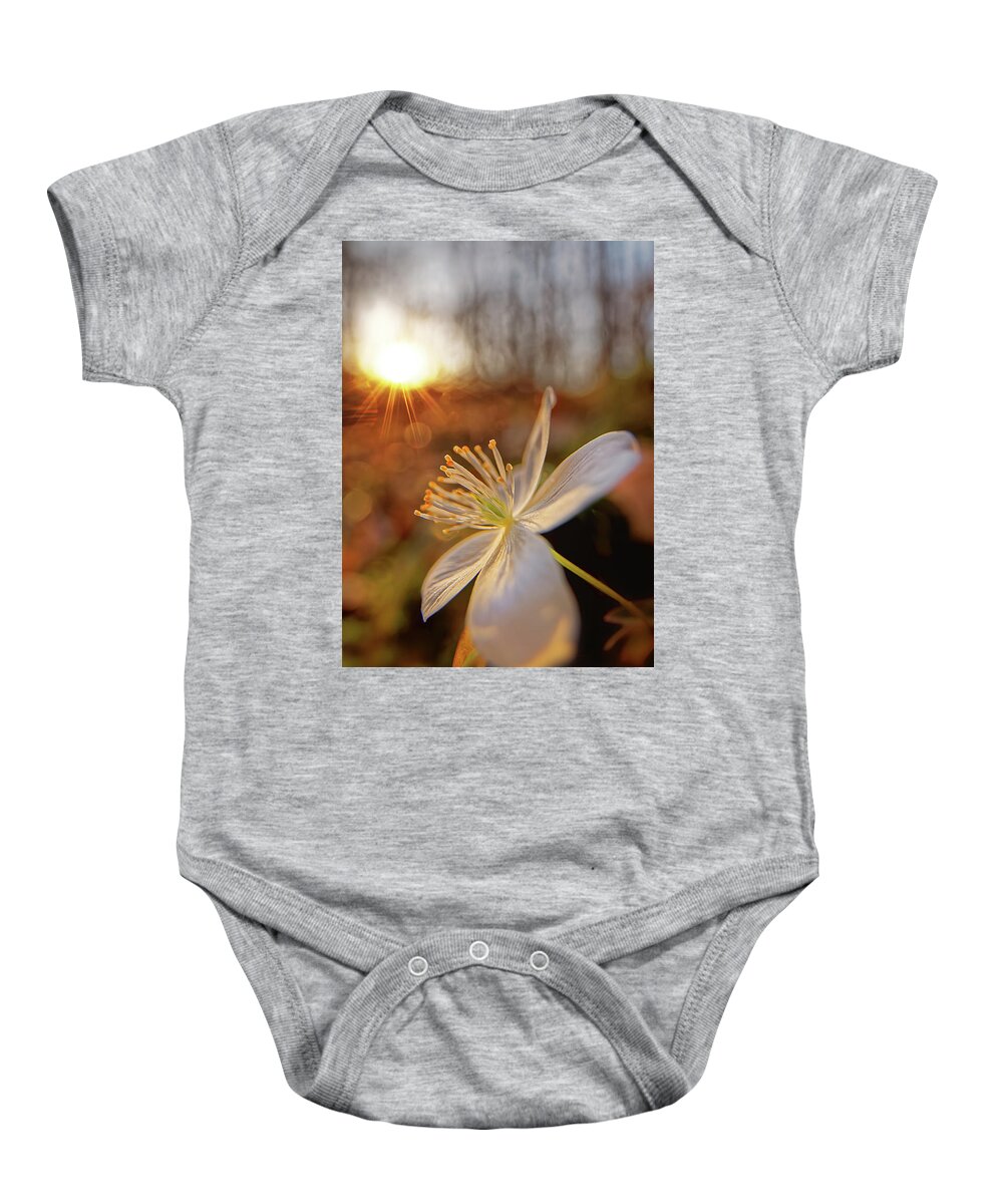 Flower Baby Onesie featuring the photograph False Rue Anemone #1 by Robert Charity