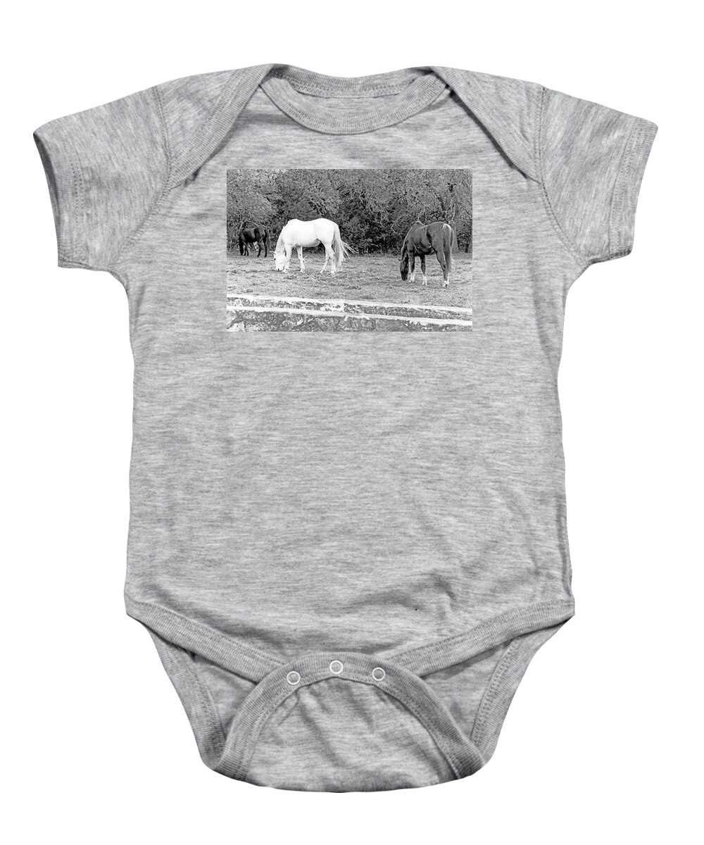 Horses Baby Onesie featuring the photograph Grazing Horses #1 by Jim Smith