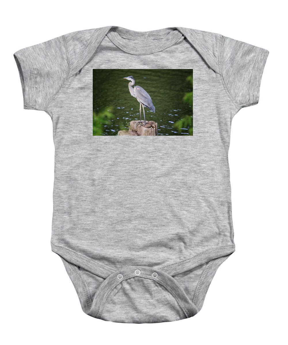 Port Dover Baby Onesie featuring the photograph Great Blue Heron #1 by Gary Hall