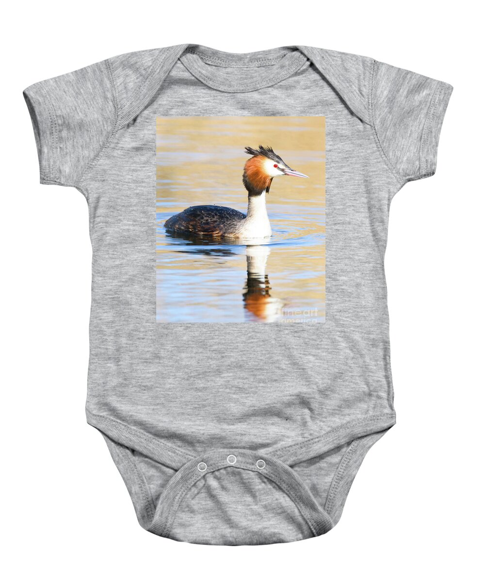 Wildlife Baby Onesie featuring the photograph Great Crested Grebe #1 by Colin Rayner