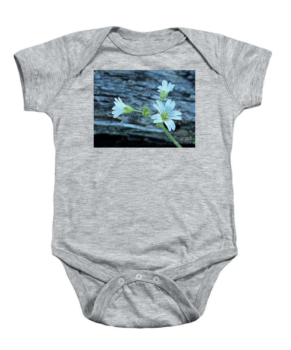 Mouse Eared Chickweed Baby Onesie featuring the photograph Mouse-Eared Chickweed #1 by Ann E Robson