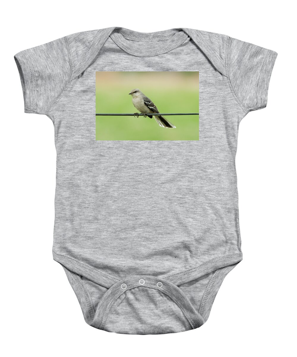 Bird Baby Onesie featuring the photograph Northern Mockingbird by Holden The Moment