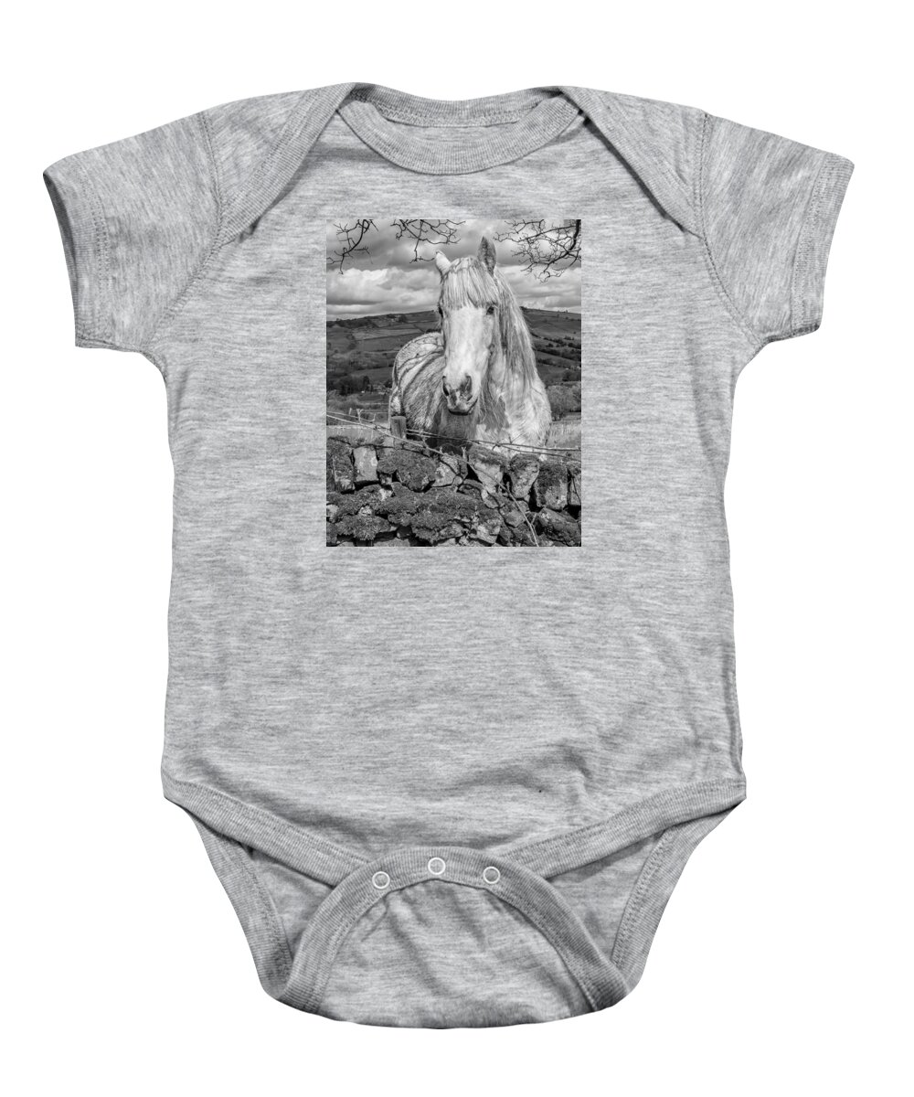 Birds & Animals Baby Onesie featuring the photograph Rustic Horse #1 by Nick Bywater