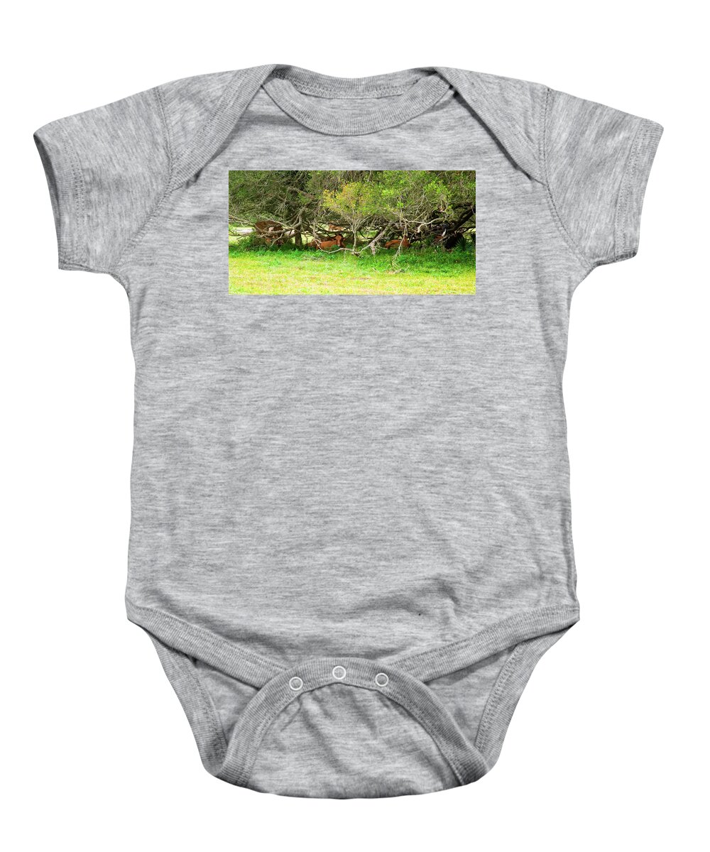 Cows Baby Onesie featuring the photograph Shelter from the Sun #1 by Judy Wright Lott