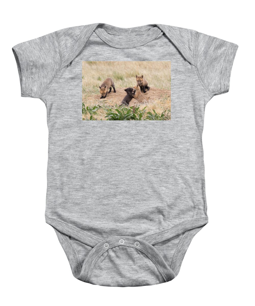 Fox Baby Onesie featuring the photograph Wrestling Red Fox Kits #1 by Tony Hake