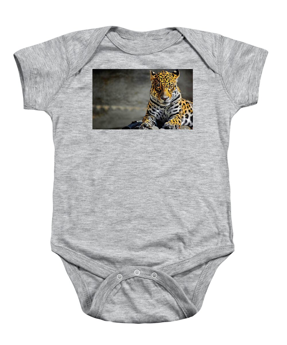 Leopard Baby Onesie featuring the photograph Leopard #10 by Jackie Russo