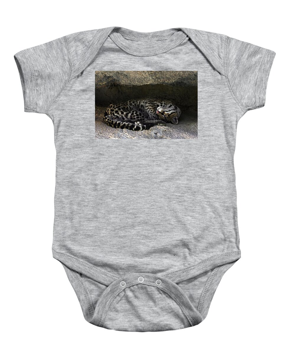 Ocelot Baby Onesie featuring the photograph Ocelot sleeping by Arterra Picture Library