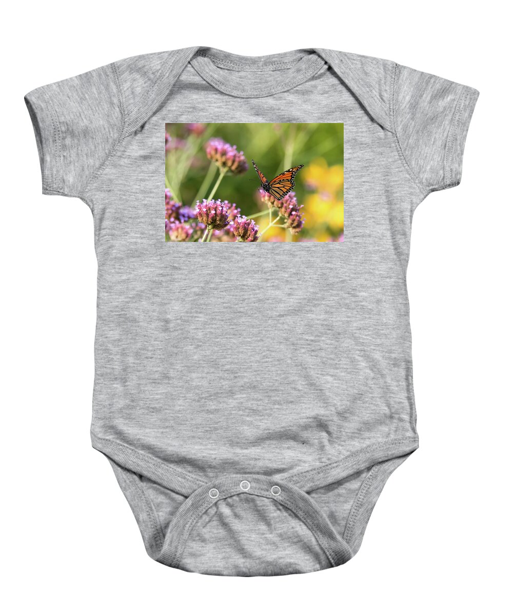 Monarch Flyng Flight Mi-air Butterfly Butterflies Nature Outside Outdoors Insect Nature Natural Wild Life Wildlife Macro Closeup Close-up Ma Mass Massachusetts Wings Flower Botany Botanic Botanical Garden Gardening Brian Hale Brianhalephoto Newengland New England U.s.a. Usa Baby Onesie featuring the photograph Flight of the Monarch 1 #2 by Brian Hale