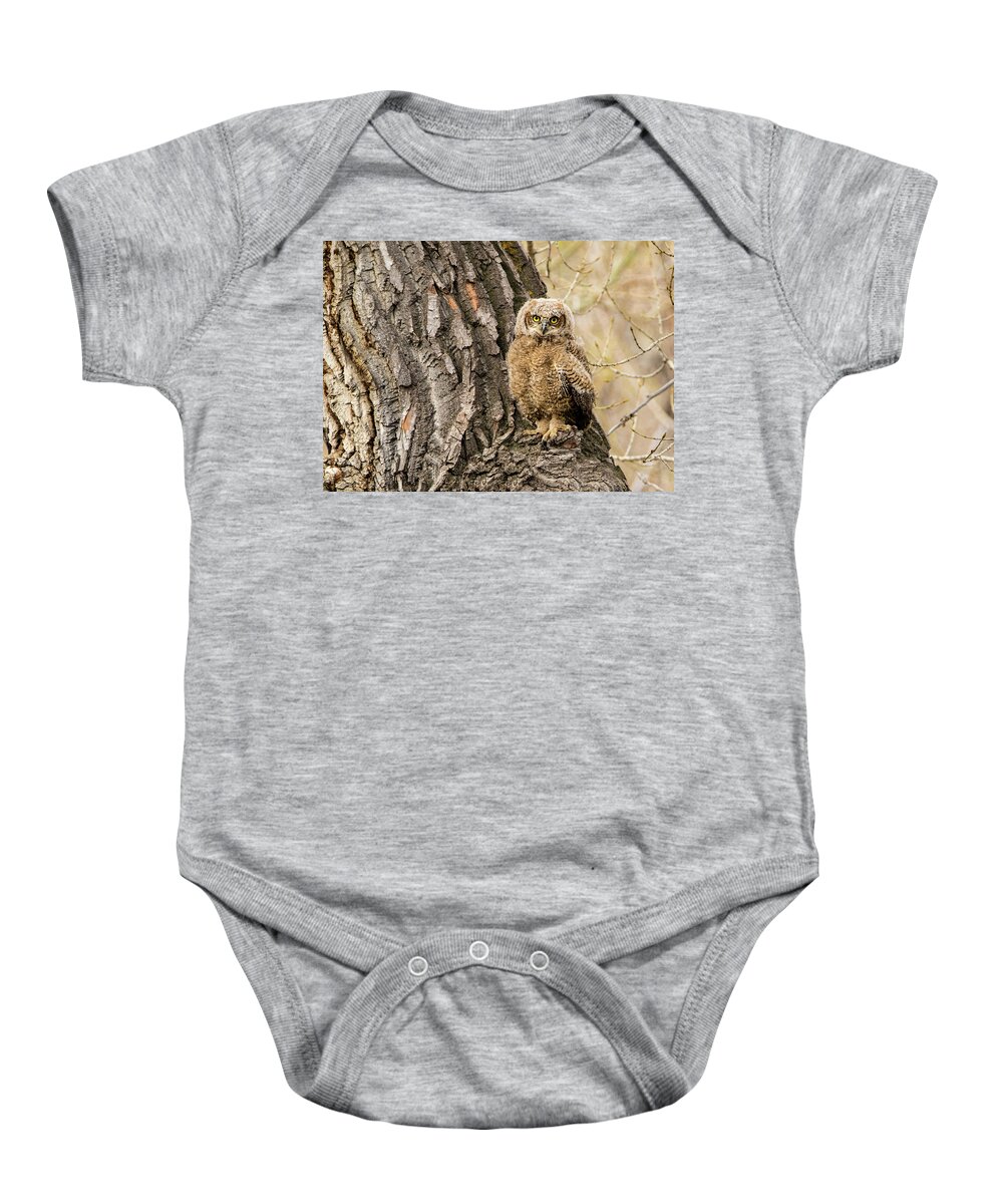 Bubo Virginianus Baby Onesie featuring the photograph Great Horned Owlet #2 by Dawn Key