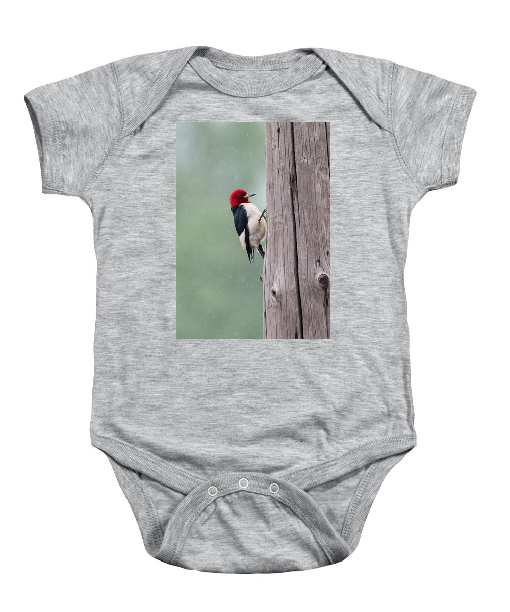 Red Headed Woodpecker Baby Onesie featuring the photograph Red Headed Woodpecker #2 by Holden The Moment
