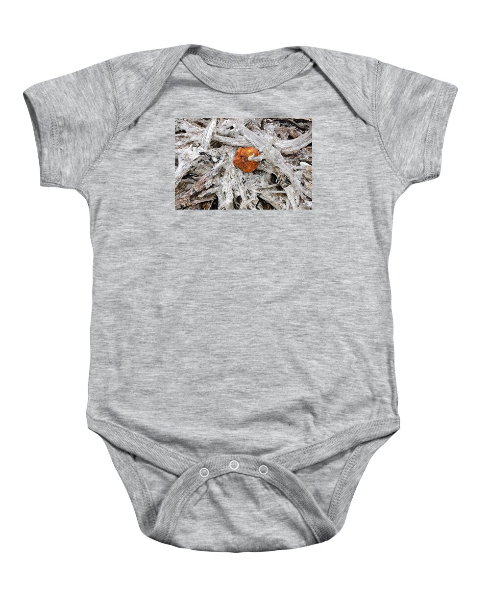 Aviation Baby Onesie featuring the photograph No smoking sign by David Lee Thompson