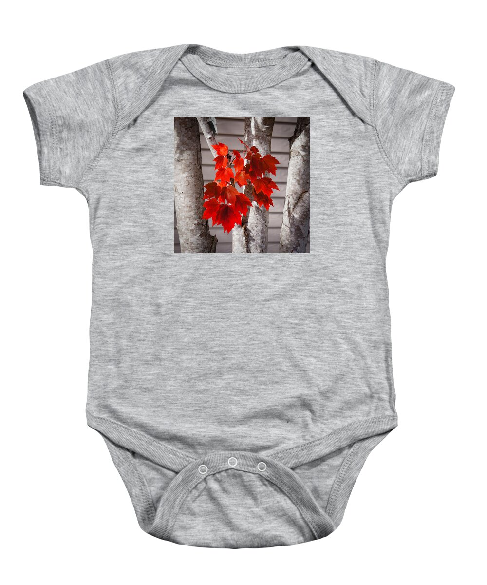 Leaves Baby Onesie featuring the photograph Some Red Leaves #2 by Ronda Broatch